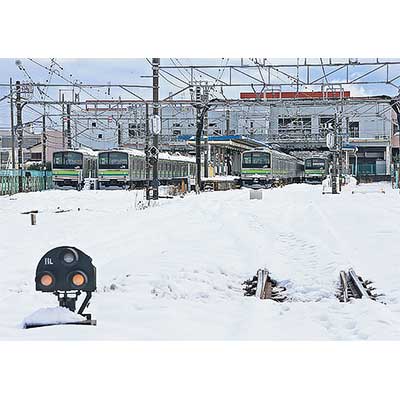 sq230204_kanagawa_photo.jpg