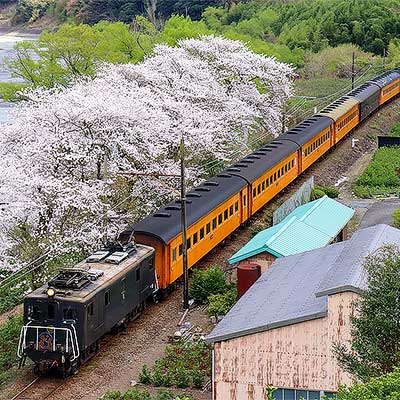 大井川鐵道で「さくら」ヘッドマーク｜鉄道ニュース｜2023年3月29日