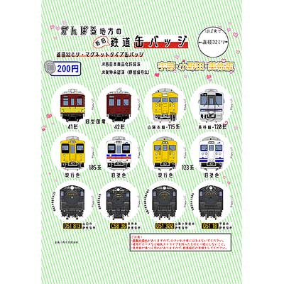 【激レア】廃線　特急あやめ　バッジ sq230810_yamaguchi_localbadge.jpg