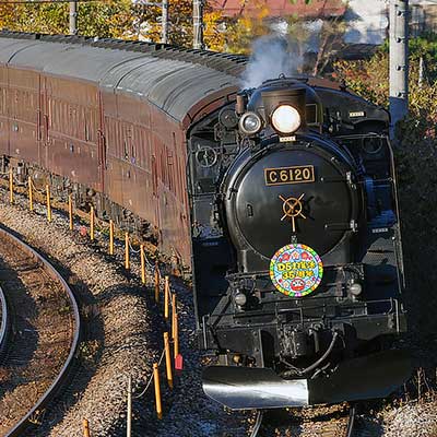 希少 <D51 誕生70周年号> 運転 平成22年11月23日 鉄道