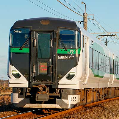 レア 平成初期 小田急臨時特急初詣1号 特急券 28319a585212e203634e2887790d54