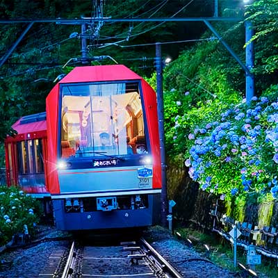 6月15日〜30日 箱根登山電車で“夜のあじさい号”を運転｜鉄道
