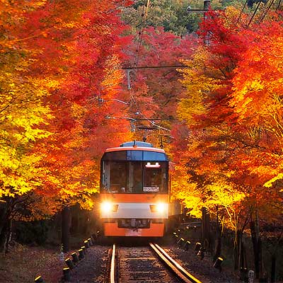 鏡池錦秋 sq241101_eiden_momiji.jpg