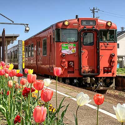 城端線で「チューリップ号」ヘッドマーク｜鉄道ニュース｜2025年4月23