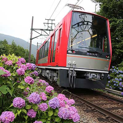 6月14日〜30日 箱根登山電車で“夜のあじさい号”を運転｜鉄道