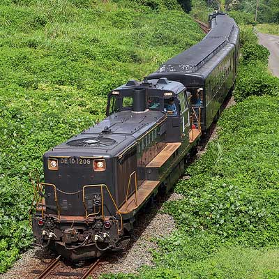50系による団臨運転｜鉄道ニュース｜2025年9月15日掲載｜鉄道ファン